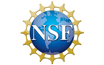 Our Client, logo NSF