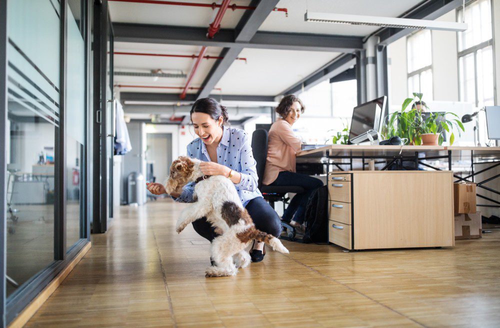 Businesswoman playing with dog at creative office