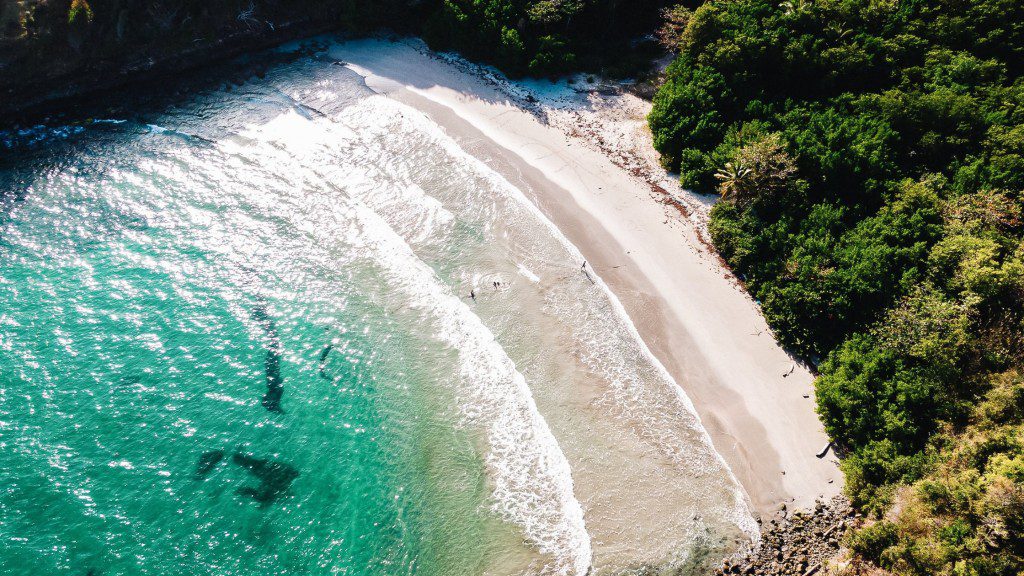 An aerial view of a beach and ocean.