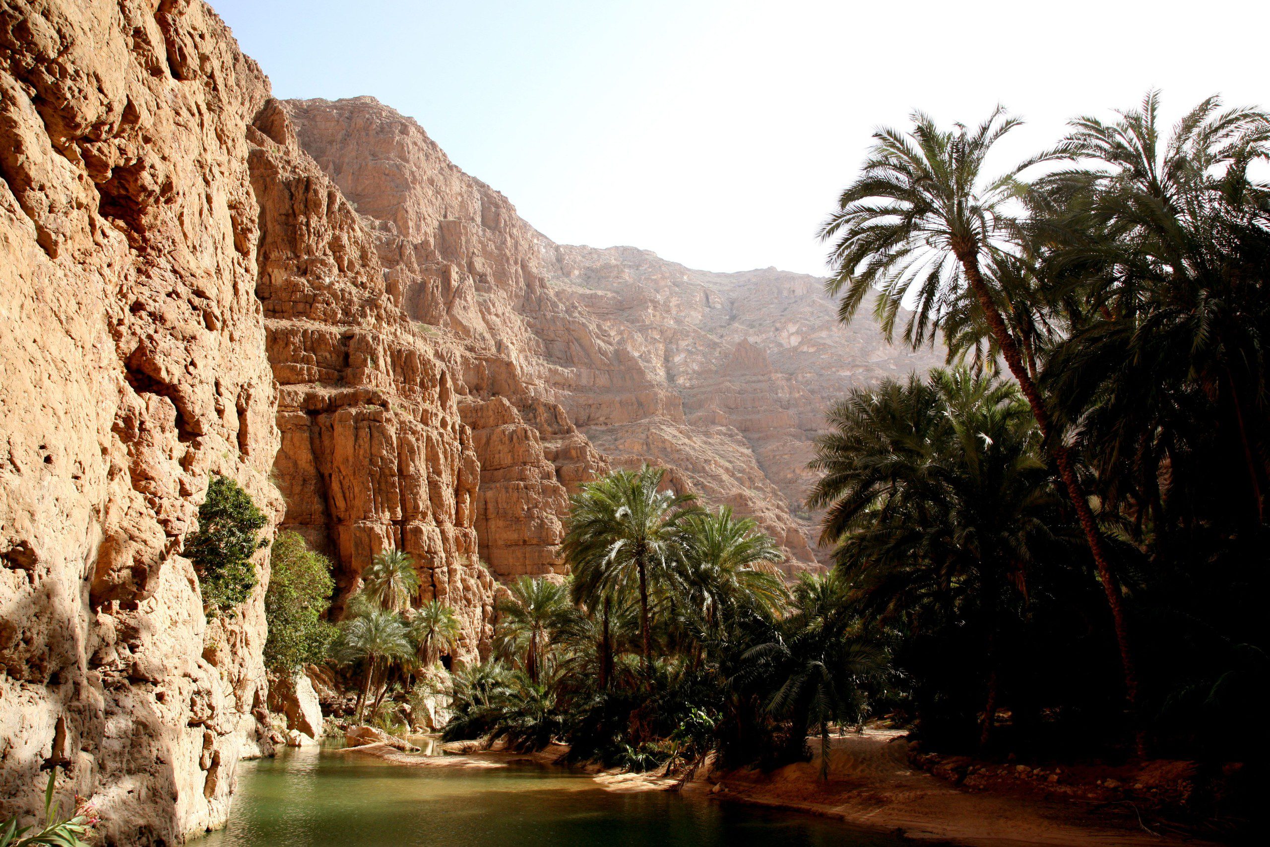 Hadf Experience Oman appoints FINN Partners as UK & Ireland PR, marketing ...