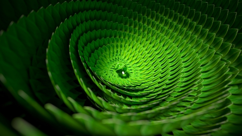 a close up view of a plant in the shape of a green spiral with a water droplet in the middle